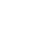 shape3.webp